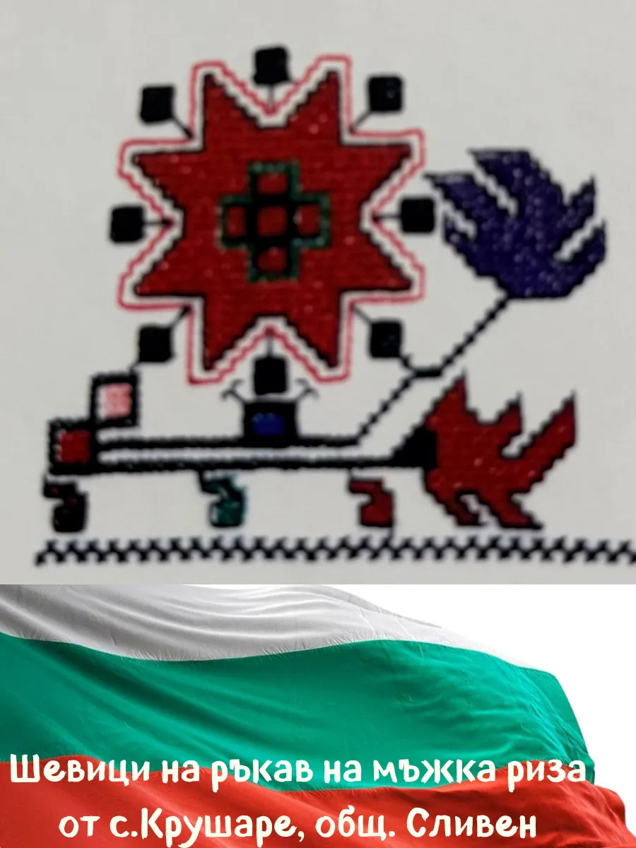 Шевица цветя Крушаре